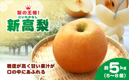 【2026年9月上旬より発送開始予定！】梨の王様 新高梨（にいたかなし） 約5kg（5～8個）　ふるさと納税 フルーツ くだもの 果物 なし ナシ 梨 にいたかなし 新高梨 大玉 高糖度 香り 芳醇 王様 千葉県 山武市 SMCG001