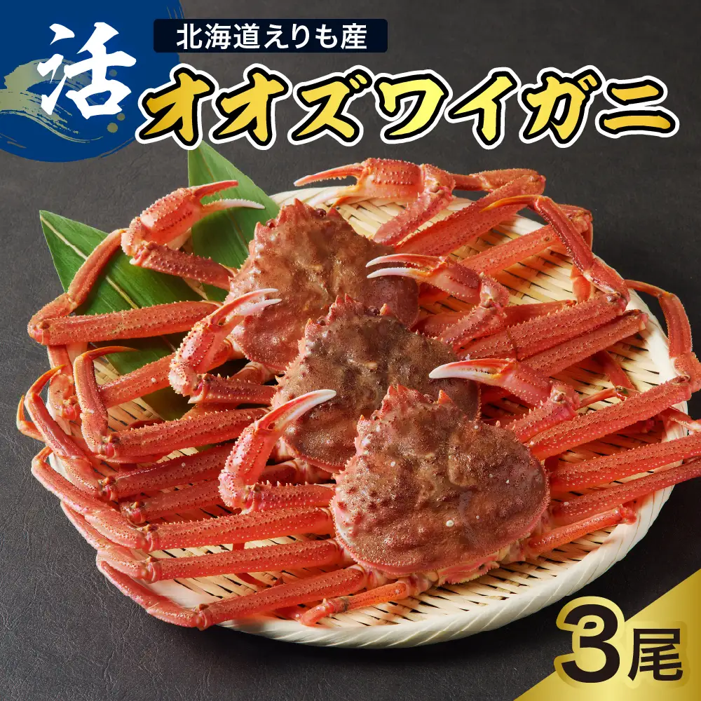 活オオズワイガニ3尾【えりも産】【er004-009-e】活 オオズワイガニ 1尾あたり  大ズワイ 大ズワイガニ ズワイガニ ズワイ かに 蟹 魚介 海鮮 新鮮 生 人気 送料無料 国産 道産 北海道産 北海道 えりも産 襟裳