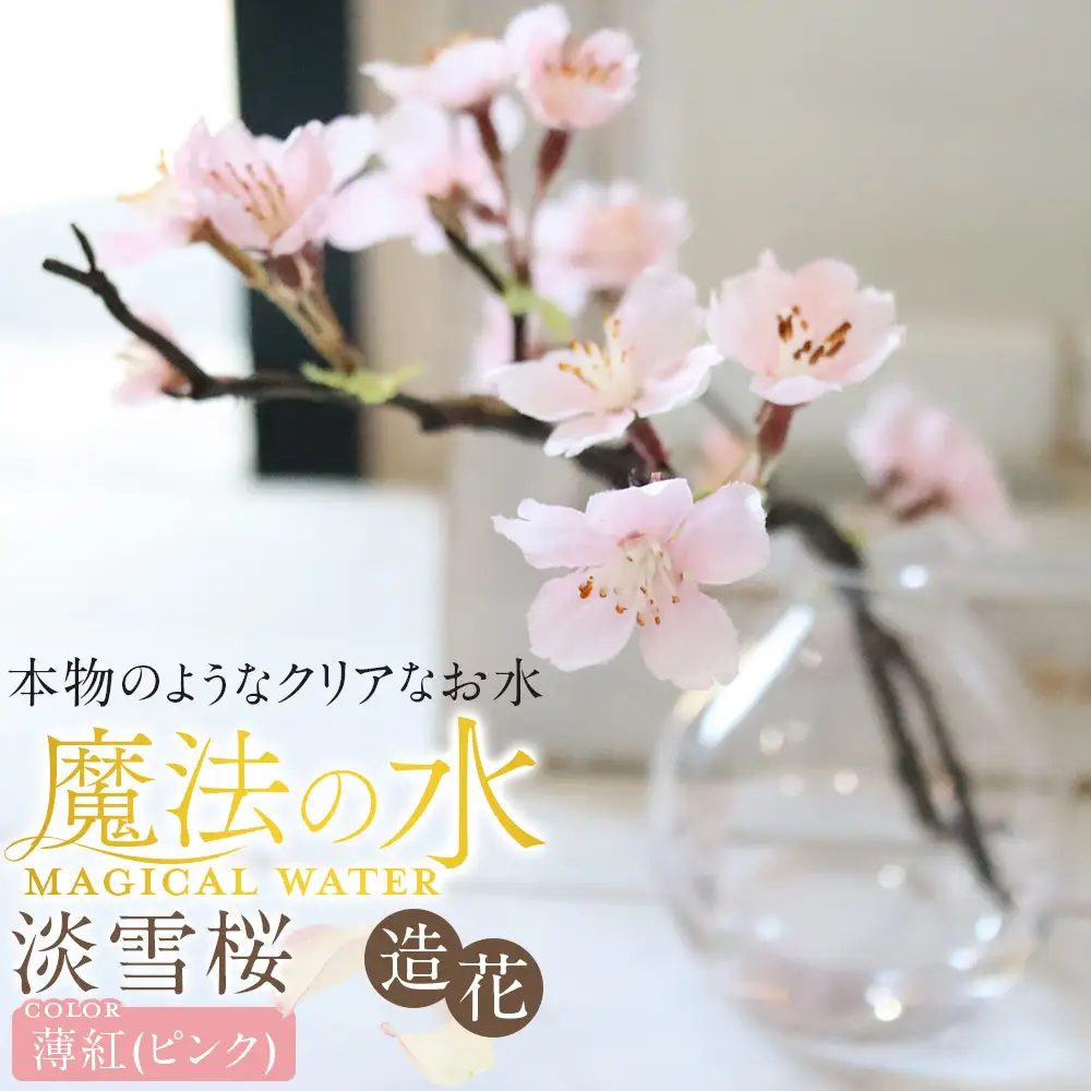 新春　淡雪桜　さくら　魔法の水　マジカルウォーター『薄紅』