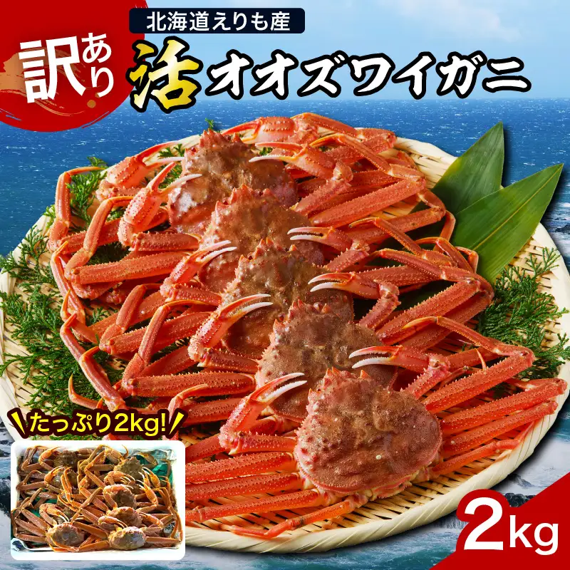 『訳あり』活オオズワイガニ2kg入【えりも産】【er004-043-f】 おおずわいがに 大ズワイ 大ズワイガニ ズワイガニ ズワイ 蟹 カニ かに 魚介類 魚介 海鮮 海の幸 海産物 大容量 訳アリ 姿 国産 北海道産 北海道 えりも町