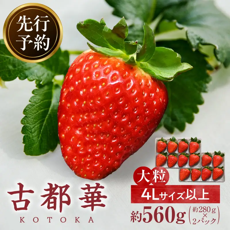 【2027年2月～3月発送】完熟「古都華」奈良ブランドいちご4Lサイズ以上2パック　先行予約 ことか 甘い 糖度 濃い 濃厚 果汁 香り 朝摘み いちご イチゴ 苺 フルーツ 果物 くだもの ご褒美 ごほうび 贈答 贈り物 ギフト プレゼント 冷蔵 奈良県 生駒市 送料無料