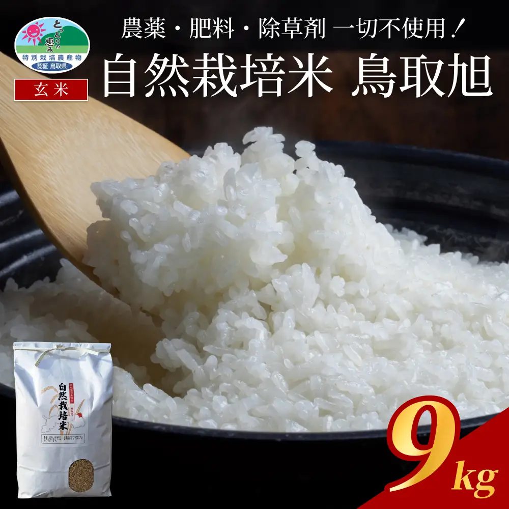 【2026新米先行予約】自然栽培米 鳥取旭（玄米）3kg×3袋 令和8年産｜鳥取 岩美 岩美町産 お米 こめ 玄米 無農薬 無肥料【31023】