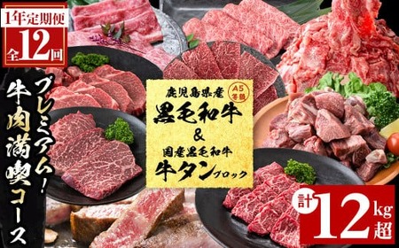 【定期便・全12回】＜A5等級＞鹿児島県産黒毛和牛＆国産牛タン プレミアム！牛肉満喫コース＜計12kg超＞ 定期便 牛肉 肉 1年 12回 12ヶ月 お楽しみ バラエティ 小分け 牛たん すき焼き しゃぶしゃぶ ステーキ 焼肉 セット 頒布会 t026-001