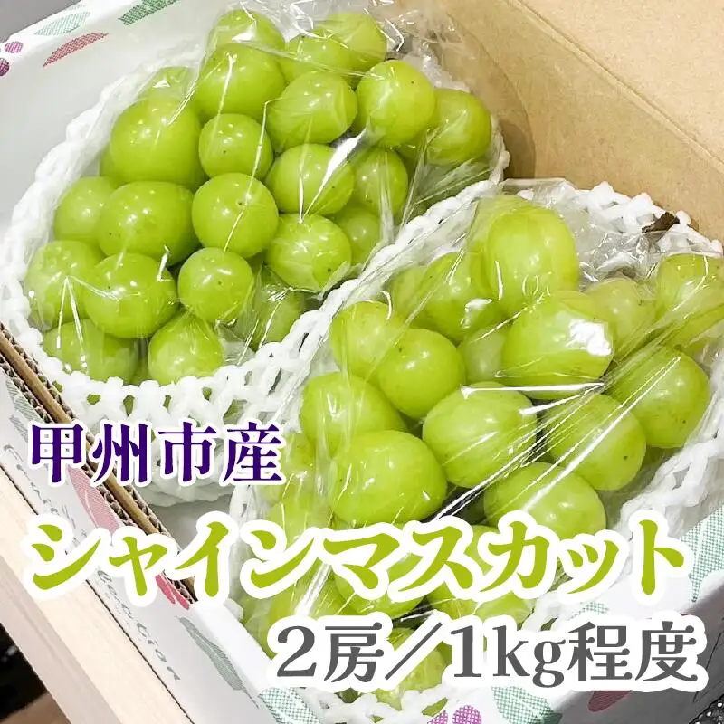 【クール配送】甘さと香り際立つ山梨県甲州市産シャインマスカット 2房（約1kg）【2026年発送】（KFT）B-1810 シャインマスカット フルーツ