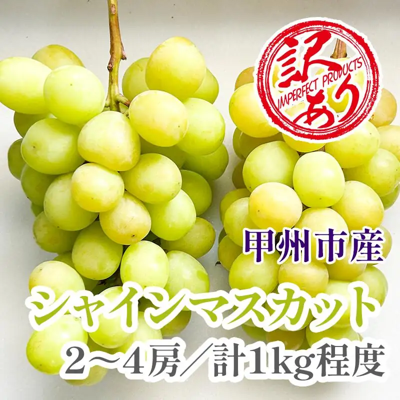【クール配送】訳あり シャインマスカット 2～4房（約1kg）【2026年発送】（KFT）A08-1810 シャインマスカット フルーツ