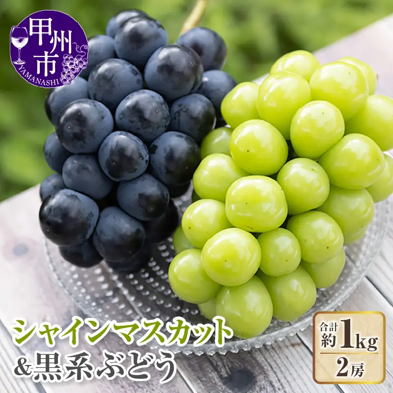 【クール配送】シャインマスカット＆黒系ぶどう 各1房（2房合計約1kg）【2026年発送】（KFT）B11-1810 シャインマスカット フルーツ