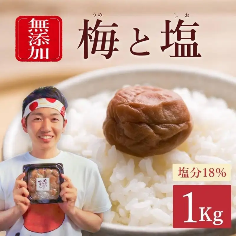 梅干し 1kg 塩分18％ミネラル豊かな天日塩だけで漬けた梅干し【umehkr005A】