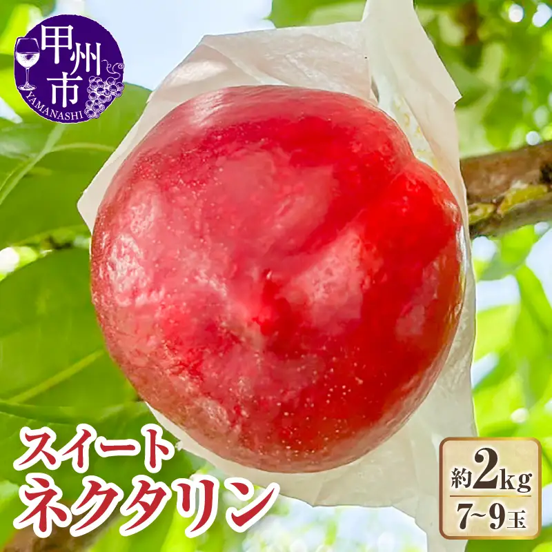 【クール配送】【桃でもすももでもない！】スイートネクタリン 約2kg 7～9玉【2026年発送】（KFT）B13-1810 スイートネクタリン 桃 フルーツ