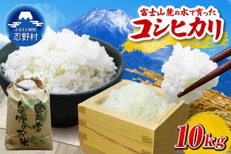 【令和8年度産米】【新米先行予約】【数量限定】忍野村産コシヒカリ（10kg）