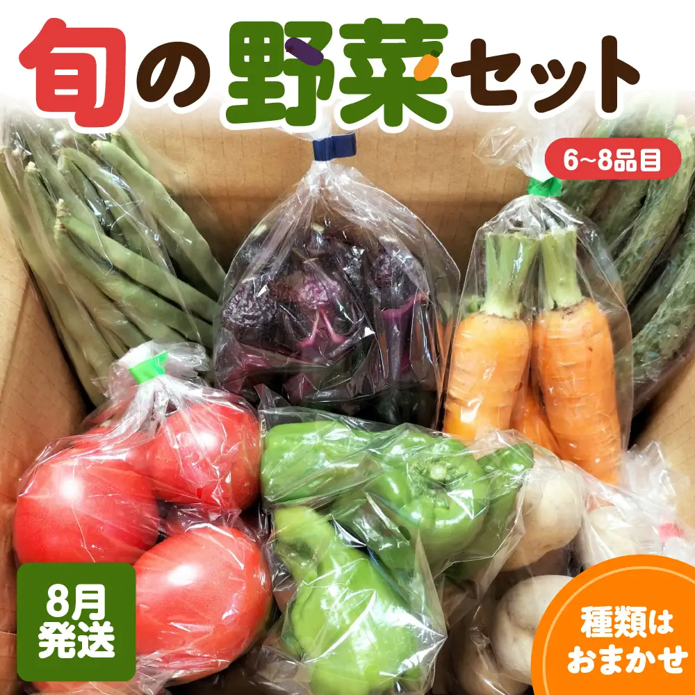 野菜セット　【2026年8月発送】6～8品野菜詰合せ おまかせセット
