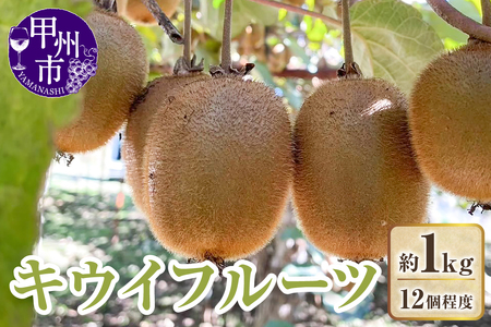 キウイフルーツ 約1kg（12個程度）【2026年度発送】（KFT）A09-1810