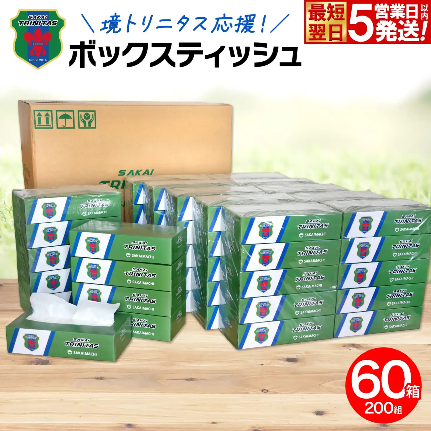 朝摘み、天然菜の花、６０サイズ２箱＋プティ粗品＋全国匿名送料無料、同梱可能です☘ 08直前!!】フィリカ プルモーサ マルチ 70cm程度 ニュージーランド産