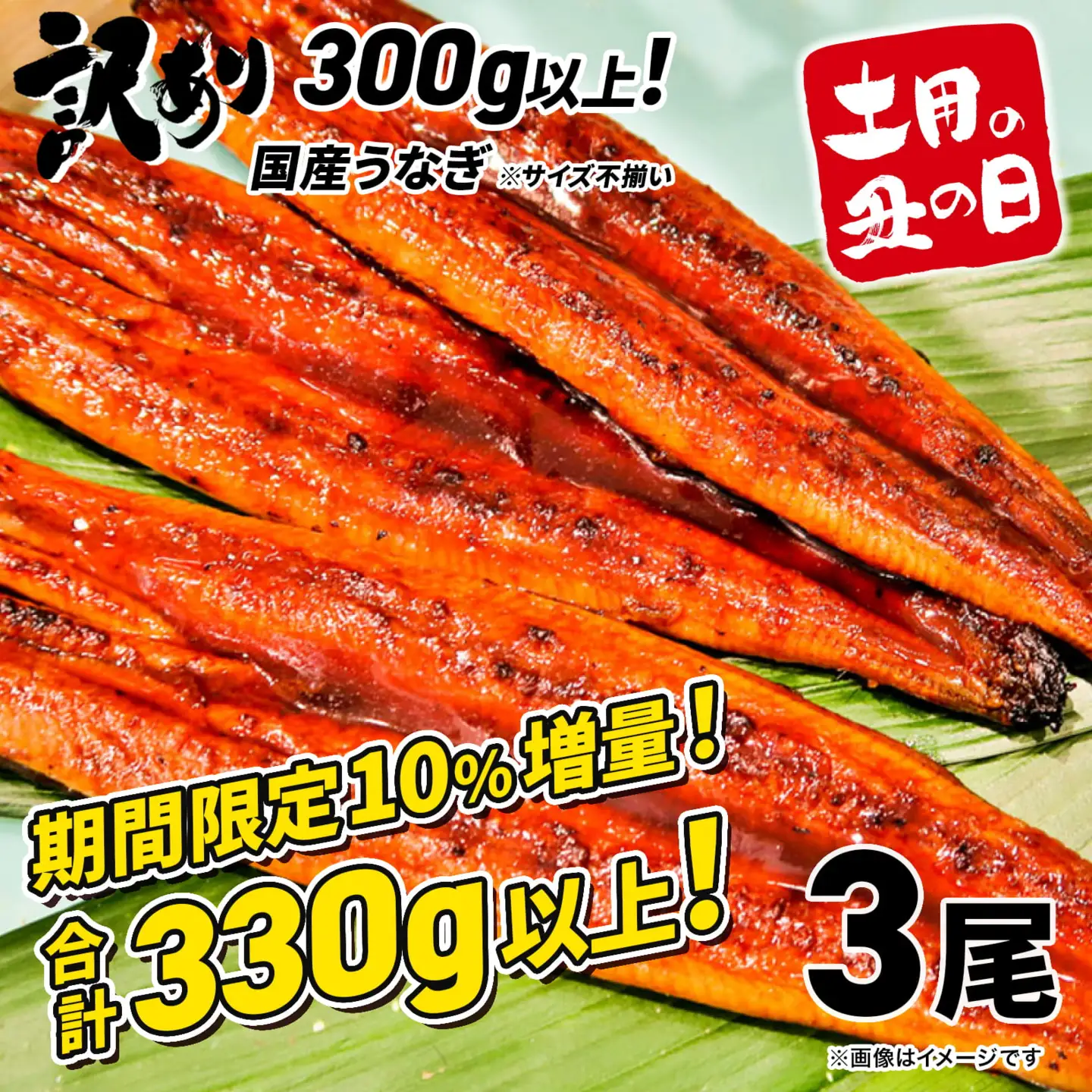 【土用の丑の日までにお届け】 国産うなぎ 3尾 計330g以上 ※サイズ不揃い K1804