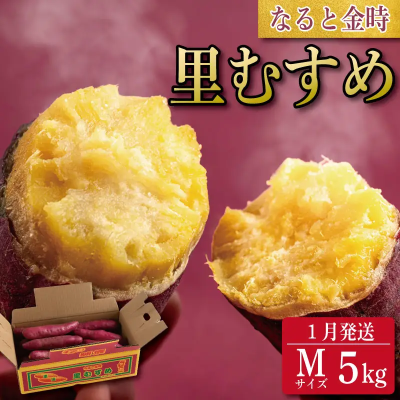 なると金時 Mサイズ 5kg 1月発送 さつまいも なると金時