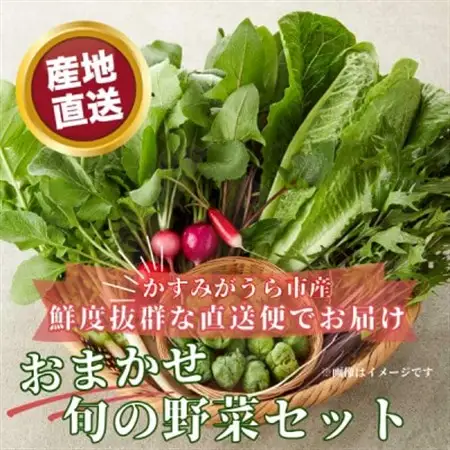 かすみがうら市産 旬の野菜おまかせセット 7～9種(2～3名様分)_野菜   _【配送不可地域：離島】【1604066】