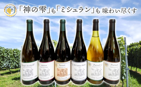 凍霜害 応援!!　「神の雫」も「ミシュラン」も 味わい尽くす【496ワイナリー】｜厳選ワイン６本セット（赤／白）