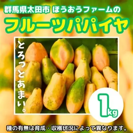 【ほうおうパパイヤ】とろっとあまい!群馬県太田市でうまれた希少な国産フルーツパパイヤ1kg_果物・フルーツ   くだもの_【配送不可地域：離島】【1595253】
