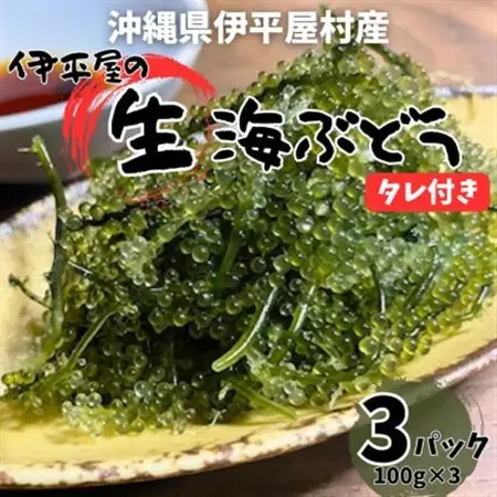 ぷちぷち濃厚 伊平屋の「生」海ぶどう 100g×3パック【1582125】