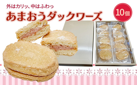 洋菓子 あまおう ダックワーズ 10個入り いちご スイーツ 菓子 お菓子