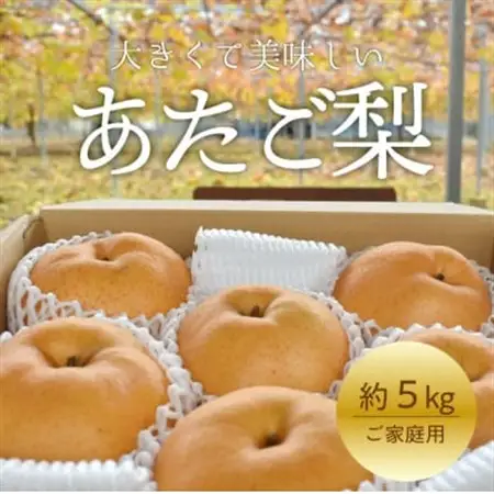 あたご梨 ご家庭用/約5kg (岡山県産) 愛宕梨好きにはたまらない満足便!【1566274】