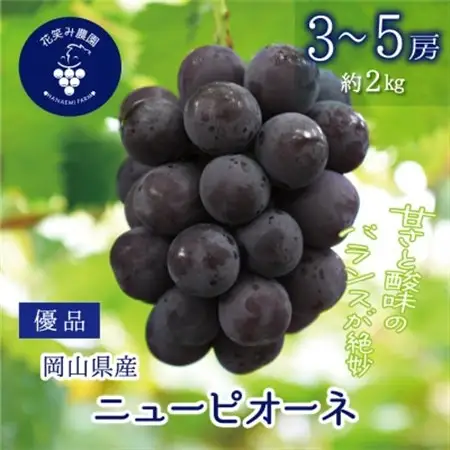 岡山　花笑み農園の『ニューピオーネ』優品　約2kg(3～5房)　P-2優【配送不可地域：離島・北海道・沖縄県】【1593495】