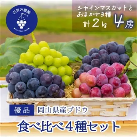 岡山　花笑み農園の『食べ比べ4種』シャイン入り　優品　2kg(4房)4M-2優【配送不可地域：離島・北海道・沖縄県】【1593520】