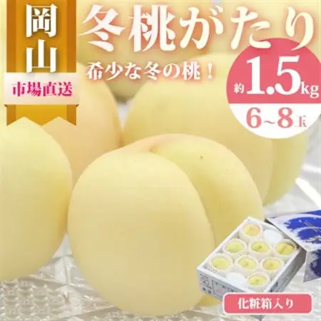 【先行受付】冬桃がたり 6～8玉(約1.5kg) 化粧箱入り【配送不可地域：離島・北海道・沖縄県】【1595624】