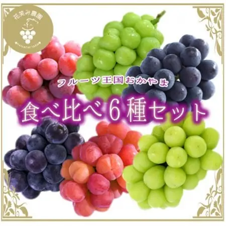 岡山　花笑み農園のブドウ『食べ比べ6種セット』6M-5【配送不可地域：離島・北海道・沖縄県】【1596449】