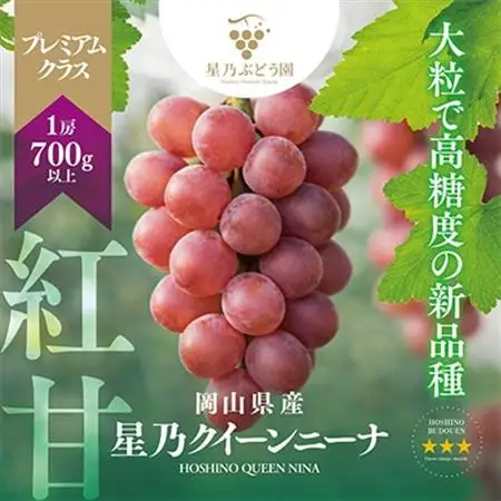 【先行受付】プレミアム星乃クイーンニーナ 数量限定 1房(700g)【配送不可地域：離島・北海道・沖縄県】【1601598】