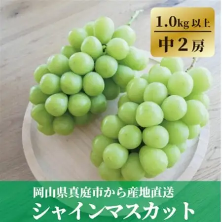 【食べ切りサイズ】 シャインマスカット 中2房/計1.0kg～ (岡山県産)【配送不可地域：離島】【1602851】