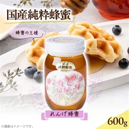 津山市産 れんげ蜂蜜　600g【1605191】