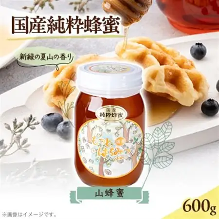 津山市産 山蜂蜜　600g【1605221】