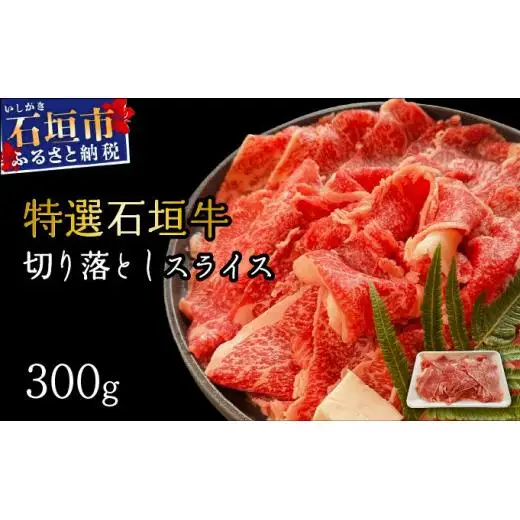 切り落としスライス300g　 IM-34