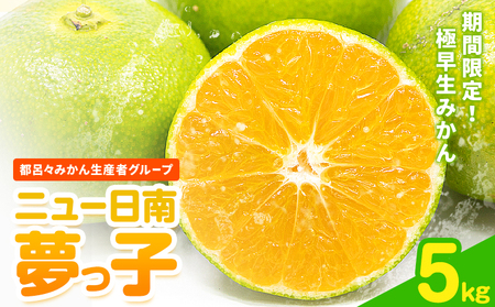 【先行予約】みかん 極早生みかん 夢っ子 5kg
