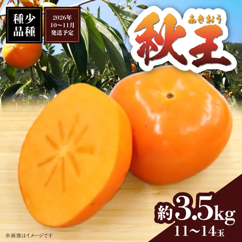 秋の贅沢、濃厚であま～い柿の新ブランド「秋王」約3.5kg（11～14玉）＜配送不可：北海道・沖縄・離島＞ 柿 フルーツ 秋の味覚 濃厚 サクサク 大玉 072-197