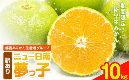 【先行予約】みかん 極早生みかん 夢っ子 10kg 