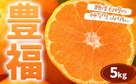 【先行予約】みかん 極早生みかん 豊福 5kg