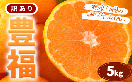 【先行予約】訳あり みかん 極早生みかん 豊福 5kg