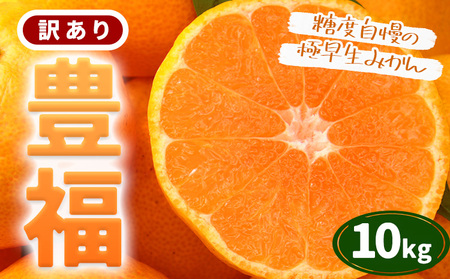 【先行予約】訳あり みかん 極早生みかん 豊福 10kg