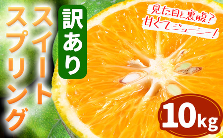 【先行予約】訳あり スイートスプリング 10kg