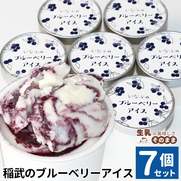 2026年7月1日～寄付金額変更★〈即日発送〉無農薬！皮ごと使用！ブルーベリー アイス×7個入り アイスクリーム ブルーベリー スイーツ
