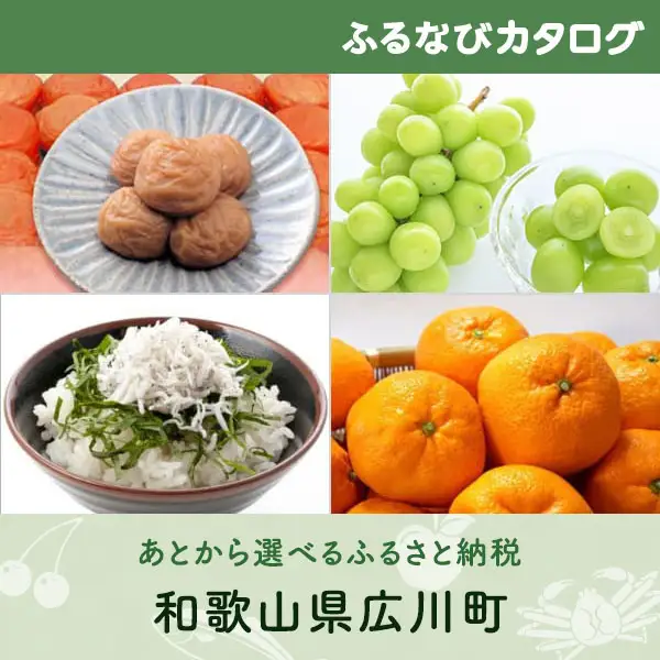 【有効期限なし！後からゆっくり特産品を選べる】和歌山県広川町カタログポイント