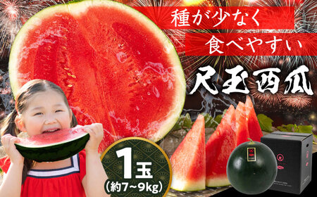 【先行予約】黒すいか 尺玉西瓜:1玉(約7kg〜9kg) スイカ[AREW001]