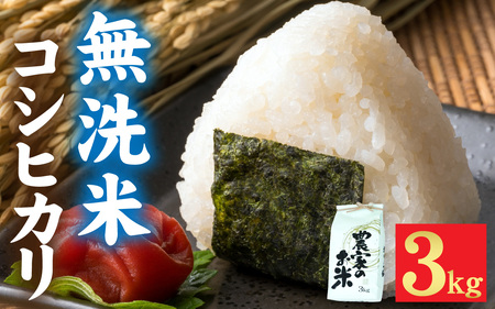 令和7年産 福井市産 コシヒカリ 3kg 無洗米 天然の山水で育てたお米【みやま米】 [A-168003]  / 無洗米