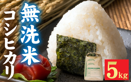 令和7年産 福井市産 コシヒカリ 5kg 無洗米 / 天然の山水で育てたお米【みやま米】 [A-168004]  / 5キロ 5kg 米 こめ コメ お米 こしひかり 福井県 福井市 令和7年 7年産 七年