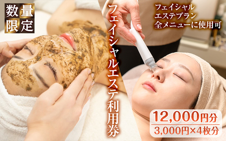 ＜数量限定＞フェイシャルエステ利用券(12,000円分(3,000円×4枚分)/フェイシャルエステプラン全メニューに使用可) ハーブピーリング ララピール ニキビ 小顔リフトアップ 美容 サロン レディース チケット 体験 【m66-12】【melty minoh】