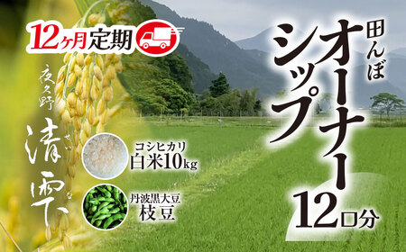 ＜令和8年10月中旬より発送！＞＜12ヶ月定期＞田んぼオーナーシップ 清雫 (12口分・白米10kg・黒ムラサキ) ふるさと納税 福知山市 田んぼ オーナー制度 米 白米 10kg 12回 120kg 令和8年度産 先行 収穫 定期 夜久野 京都 【fc-DB002-D】【合同会社夜久野清雫】