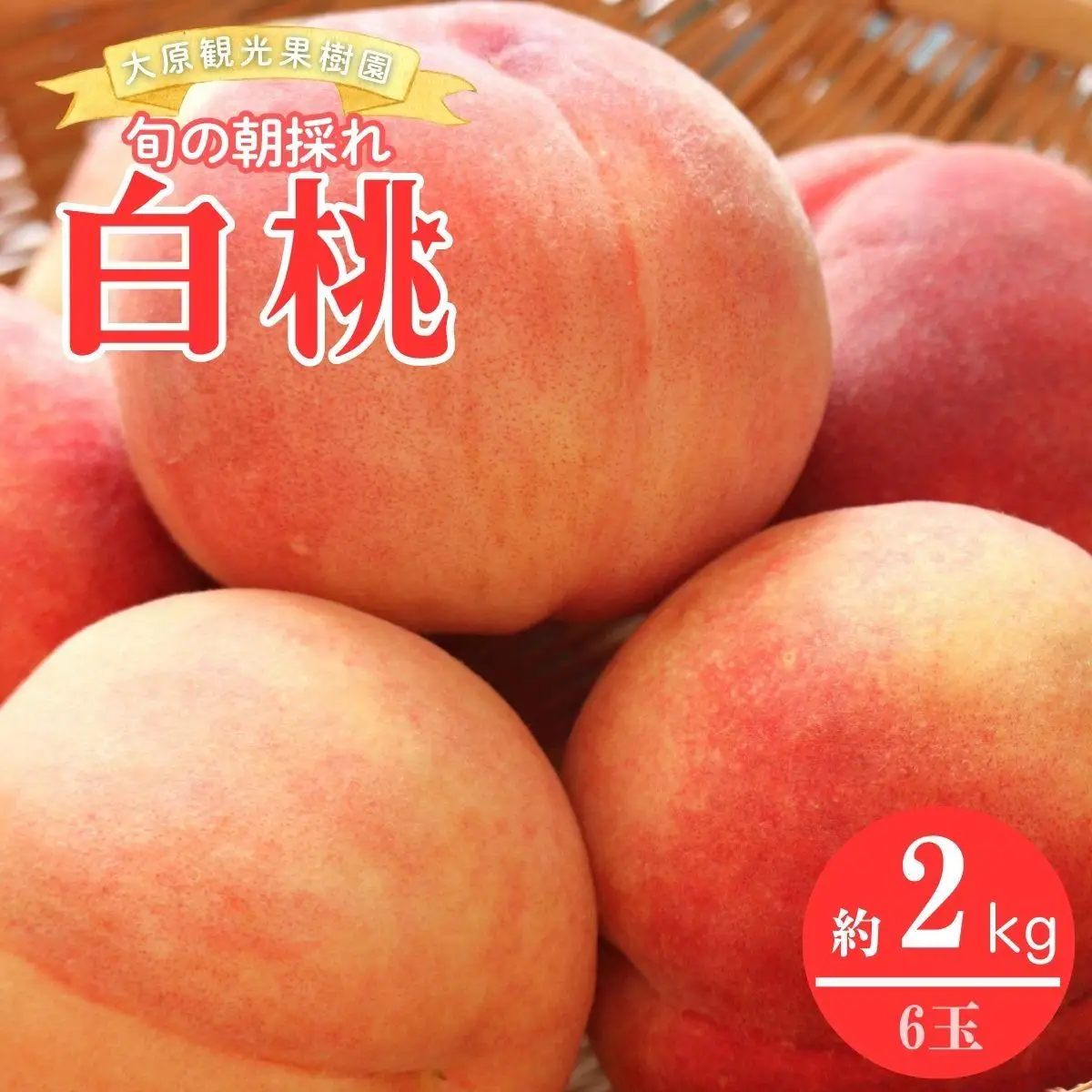 【2026年先行予約】白桃 1箱（約2kg 6玉）桃 もも モモ はくとう フルーツ 【026-a019】