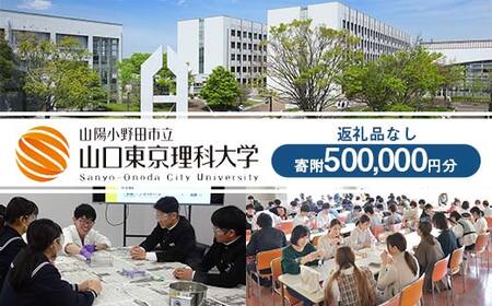 山陽小野田市立山口東京理科大学支援 寄附500,000円分（返礼品なし） 大学 応援 返礼品なし F6L-1133 