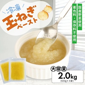 冷凍玉ねぎペースト2.0kg(500g×4袋) 冷凍便 ※離島発送不可 冷凍 たまねぎ 玉ねぎ 玉葱 野菜 野菜ペースト 離乳食 介護食 小分け ゆざ食彩工房 遊佐町 庄内 東北 [1432TN2000G]
